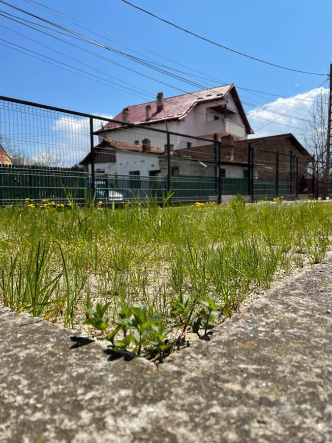 Casa Șapte din Șapte Curtea de Argeş Eksteriør bilde